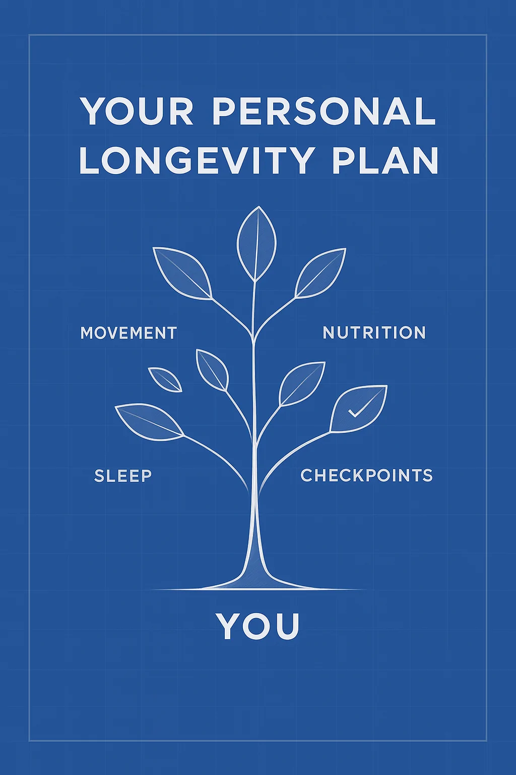 Longevity Blueprint Illustration